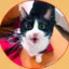 Image de lepetitfred