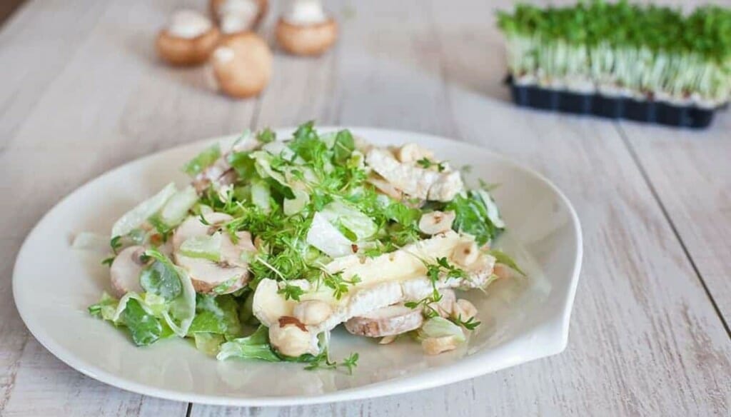 Cover photo for Louise