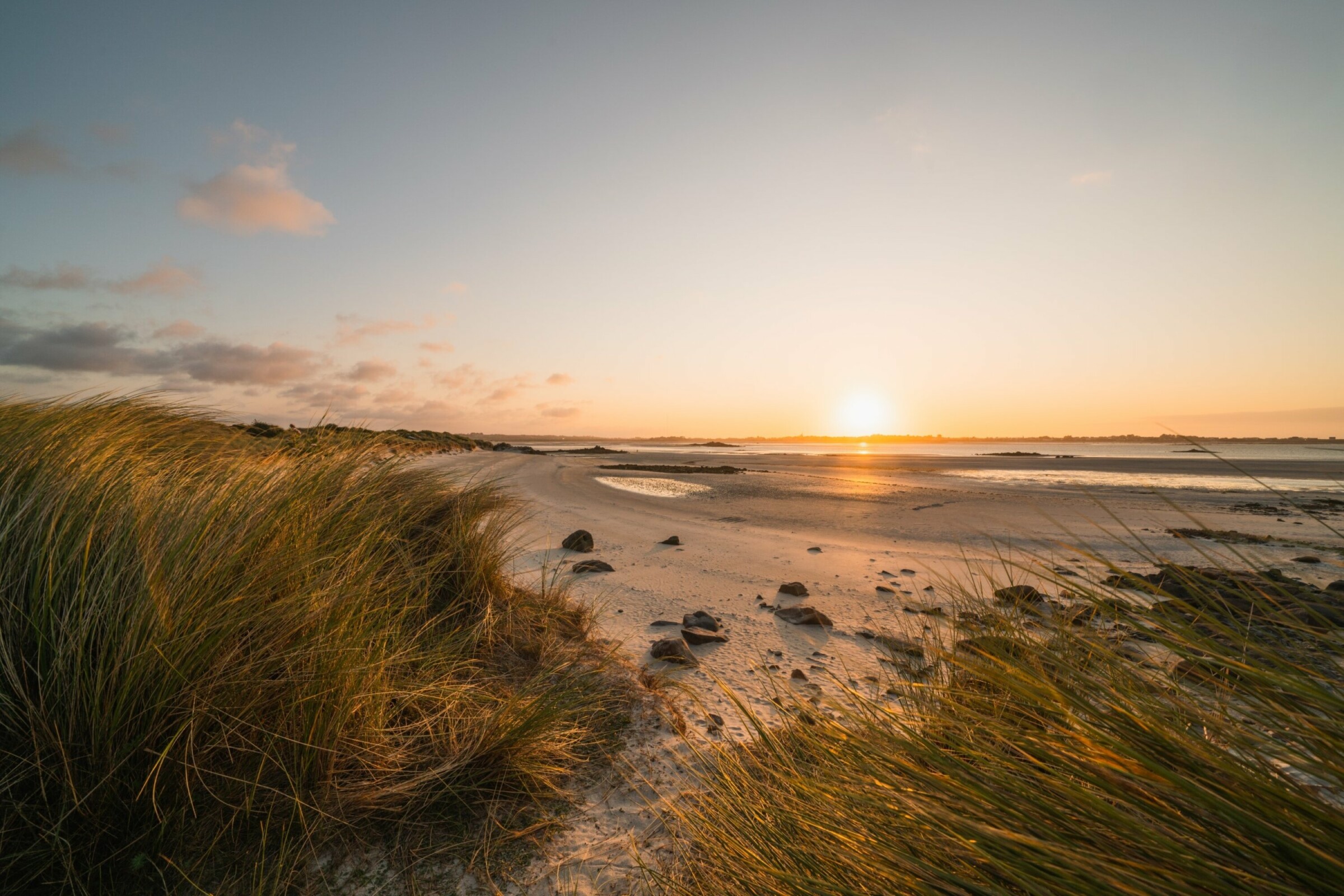 Cover photo for Julia