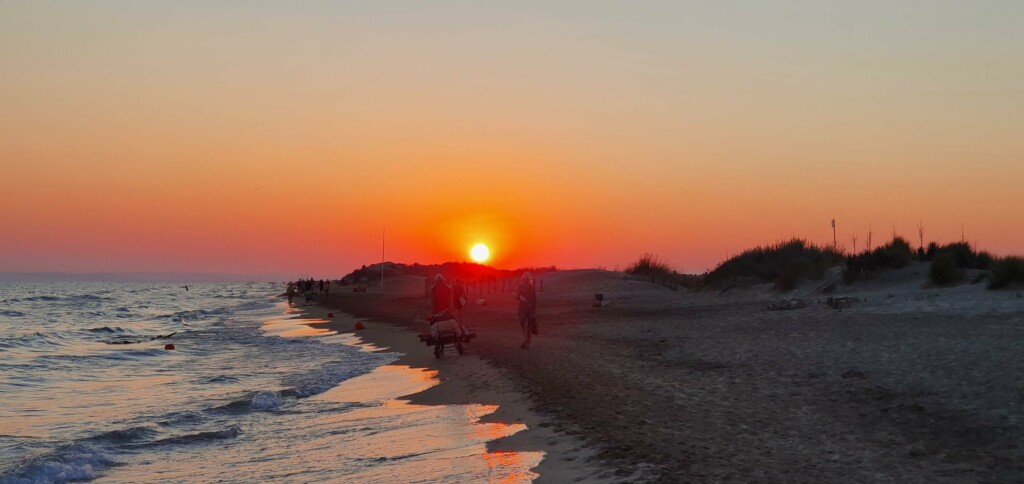 Cover photo for Lucie