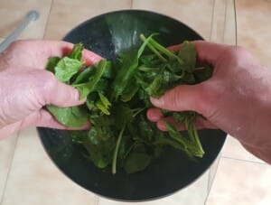 Carpaccio mangue avocat, jeunes pousses d’épinards – Instruction 4 Carpaccio mangue avocat, jeunes pousses d’épinards - Instruction 4
