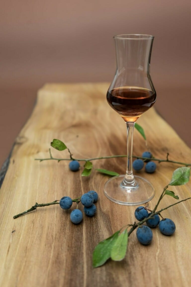 Sloe liqueur Vin de buisson (prunelier)