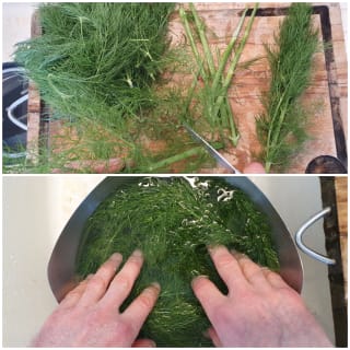 Spaghetti aux feuilles de fenouil - Instruction 0