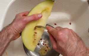 Confiture de Citre aux Agrumes - Instruction 0