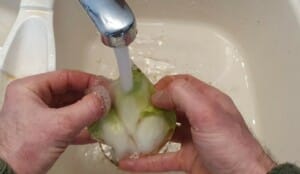 Endives aux dattes et aux noix - Instruction 0