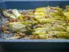Roasted endives with dates and walnuts