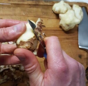 Velouté de topinambours au bacon