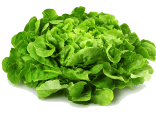 Green Salad in the Kitchen: History, Nutrition, and Preparation