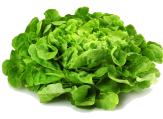 Green Salad in the Kitchen: History, Nutrition, and Preparation