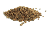 Image de green lentils