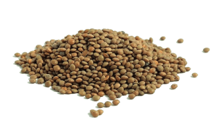 Image de green lentils