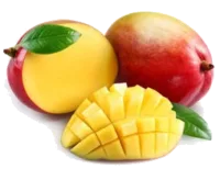 Mangue