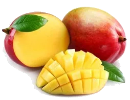 Mangue