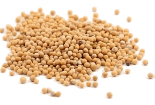 Image de mustard seeds