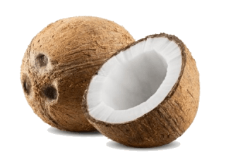 Image de coconut