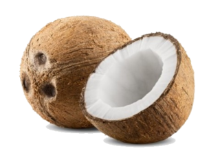 Coconuts in the Kitchen: Seasonality, Nutrition, and Preparation