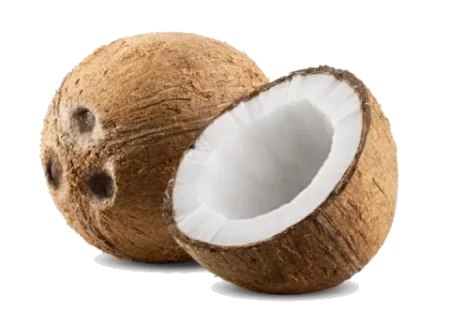 Noix de coco