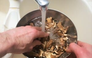 Parmentier de canard confit, châtaignes, cèpes - Instruction 0