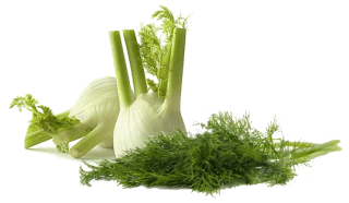 Image de fennel