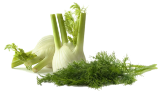 Image de fennel