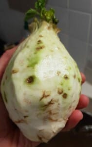 Céleri-Rave à l’orange Céleri-Rave à l’orange