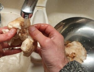 Poêlée de Shiitake - Instruction 0