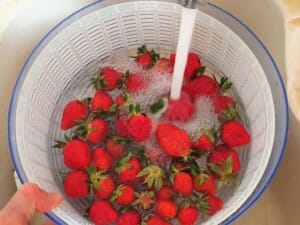 Salade de fraises, verveine - Instruction 0
