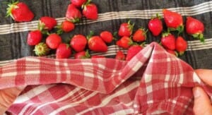 Salade de fraises, verveine - Instruction 1