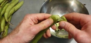 Cassolette de fèves - Instruction 0