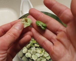 Cassolette de fèves - Instruction 2