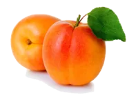 Abricot (Petit) Abricot