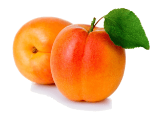 Apricots in the Kitchen: Season, Nutritional Value, and Preparation