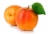 Image de apricot