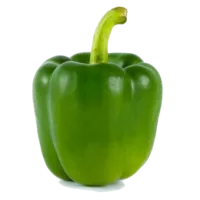 Poivron vert