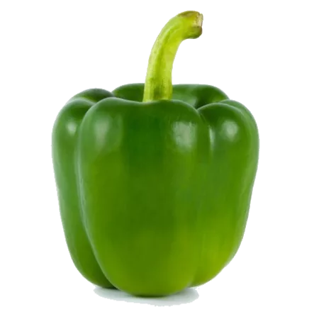 Poivron vert