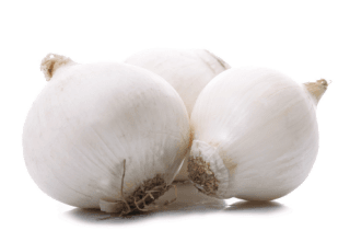 Image de white onion