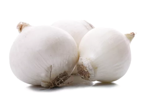 White onion