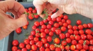 Tomates cerises confites – Instruction 3 Tomates cerises confites - Instruction 3