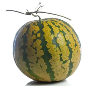 Image de citron