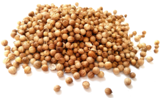 Image de cilantro