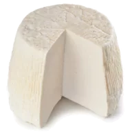 Ricotta
