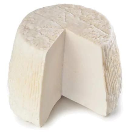 Ricotta
