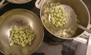 Cassolette de fèves à la crème et au chorizo - Instruction 1