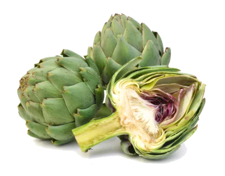 Artichaut