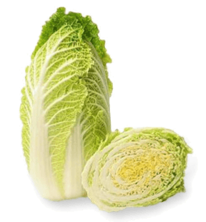 Chinese cabbage in the kitchen: seasonality, nutritional value, and preparation