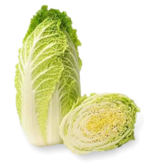 Chinese cabbage in the kitchen: seasonality, nutritional value, and preparation