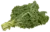 Image de kale