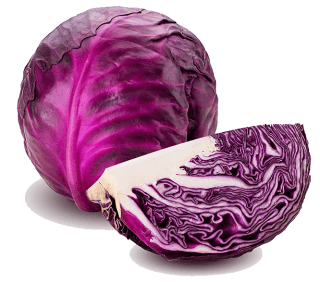 Red cabbage in the kitchen: season, nutritional value, and preparation