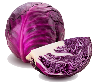 Red cabbage in the kitchen: season, nutritional value, and preparation