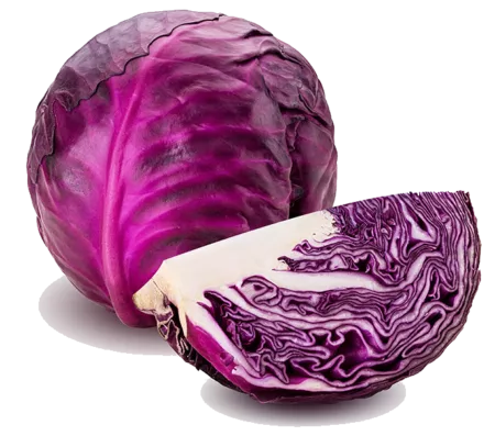 Chou rouge
